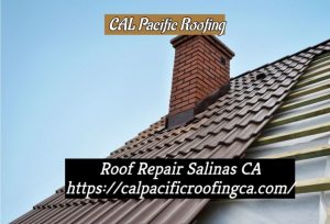 Professional Roof Repair Salinas, CA Roof Repair Salinas, CA